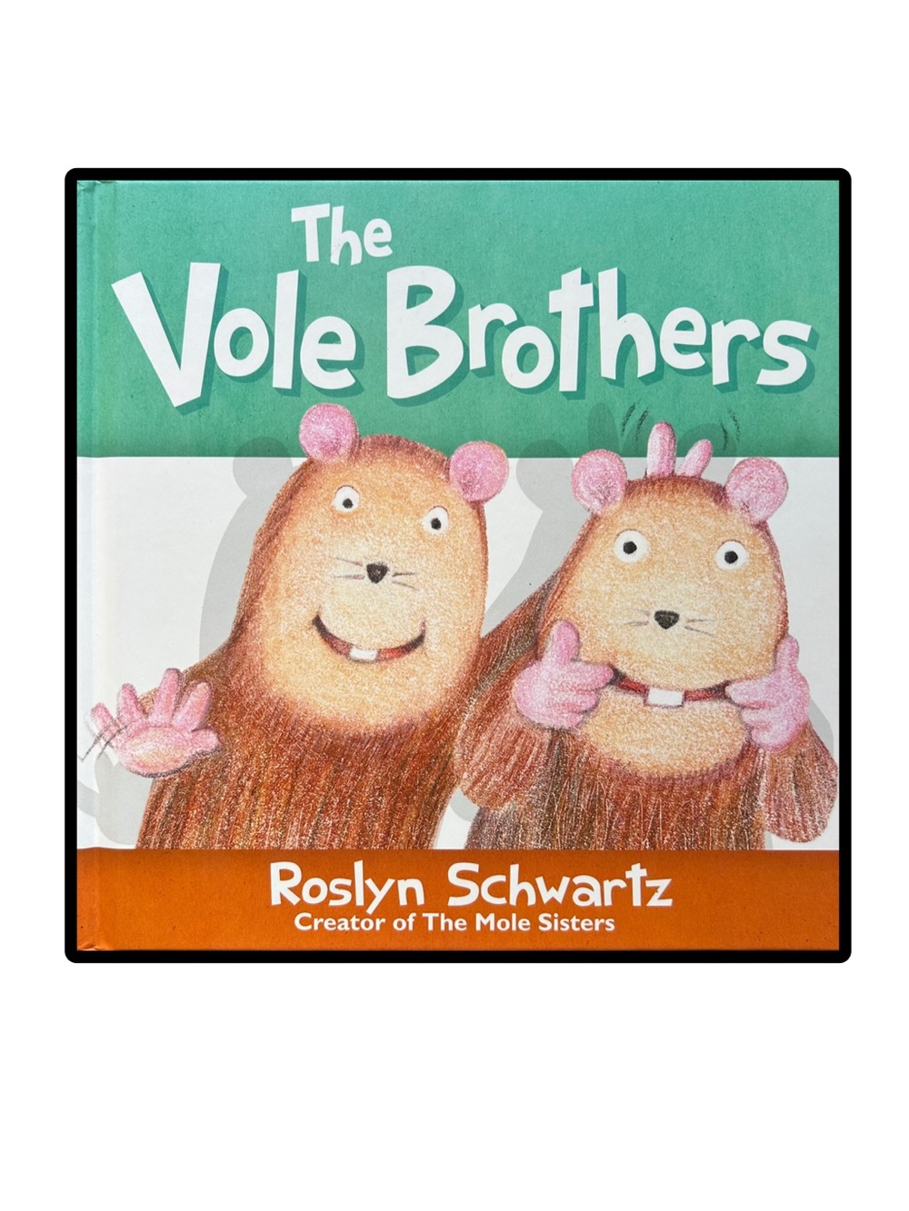 BUNDLE & SAVE 🎉The Vole Brothers Hardcover Book by Roslyn Schwartz